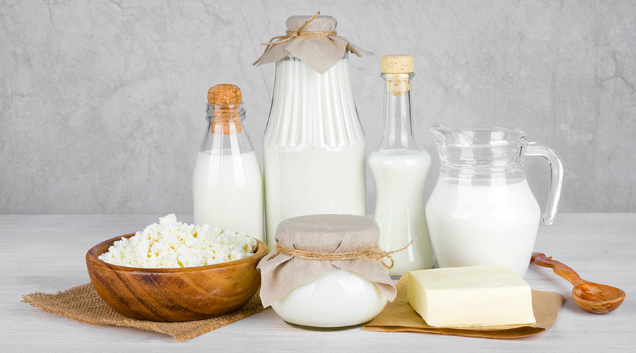 Exemplos de probióticos contidos em derivados do leite