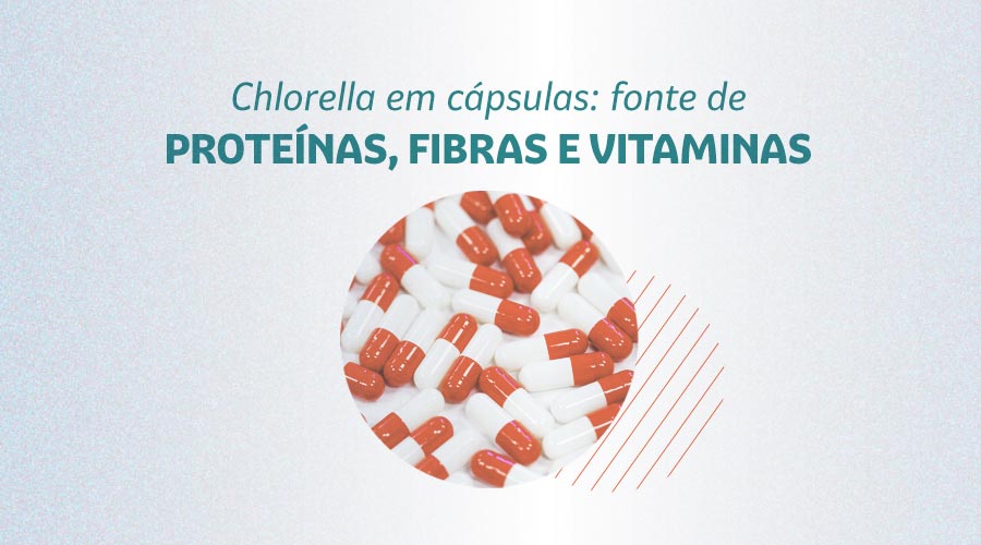 Chlorella: fonte de proteínas e fortalece imunidade