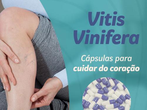 Vitis Vinifera, a cápsula de extrato seco que protege o coração