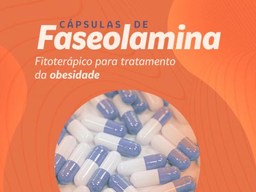 Faseolamina: cápsulas para tratamento da obesidade