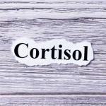 O cortisol é o hormônio do estresse, mas não serve só para isso.